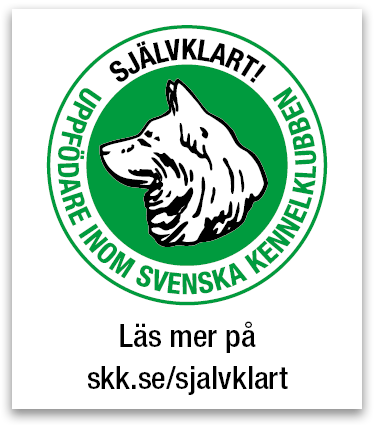 https://www.skk.se/sv/kopahund/att-kopa-hund/Nar-du-bestamt-dig/uppfodare/varfor-ska-jag-valja-en-skk-uppfodare/